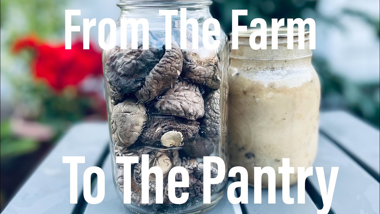 Canning mushroom soup￼