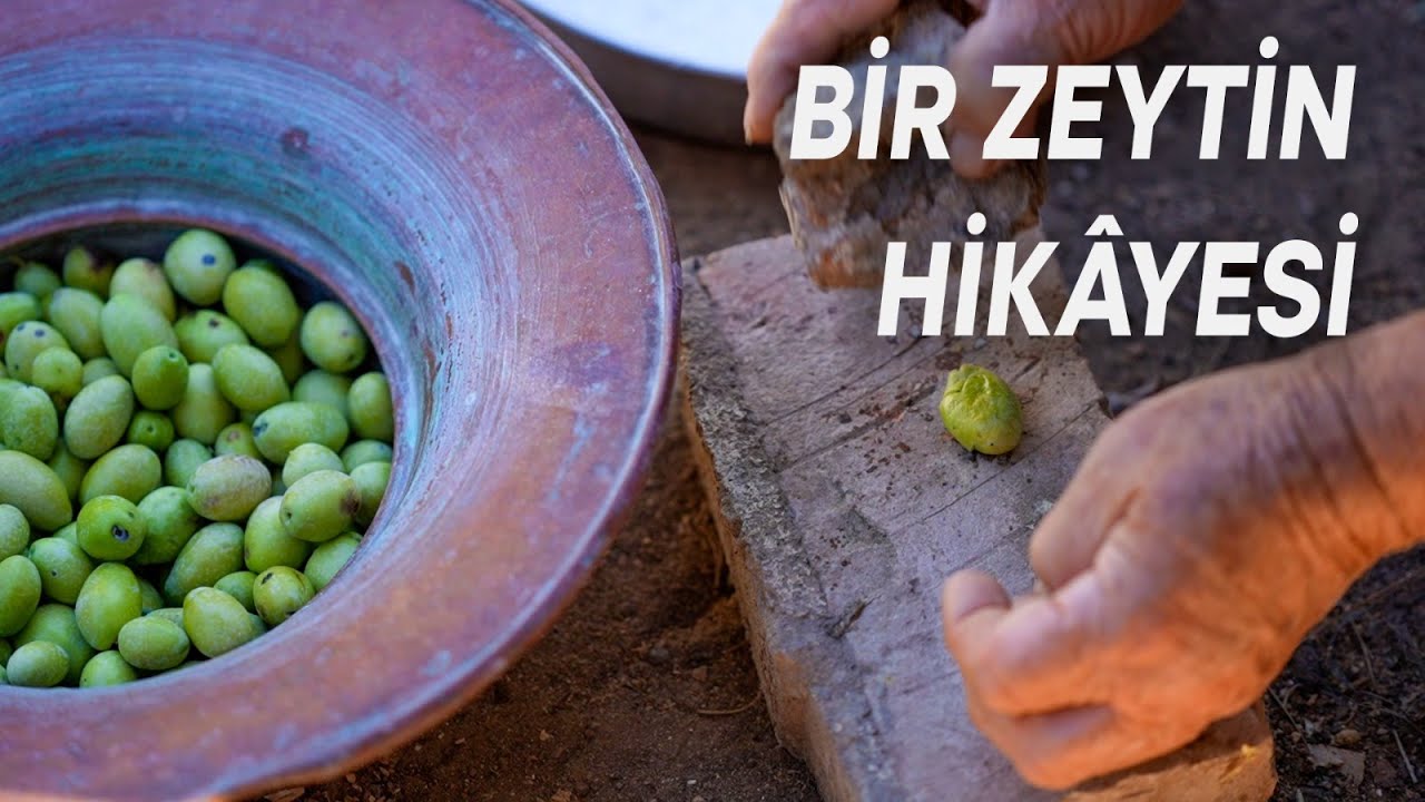 Tarladan Sofraya, Bir Zeytin Hikâyesi – Visit İzmir