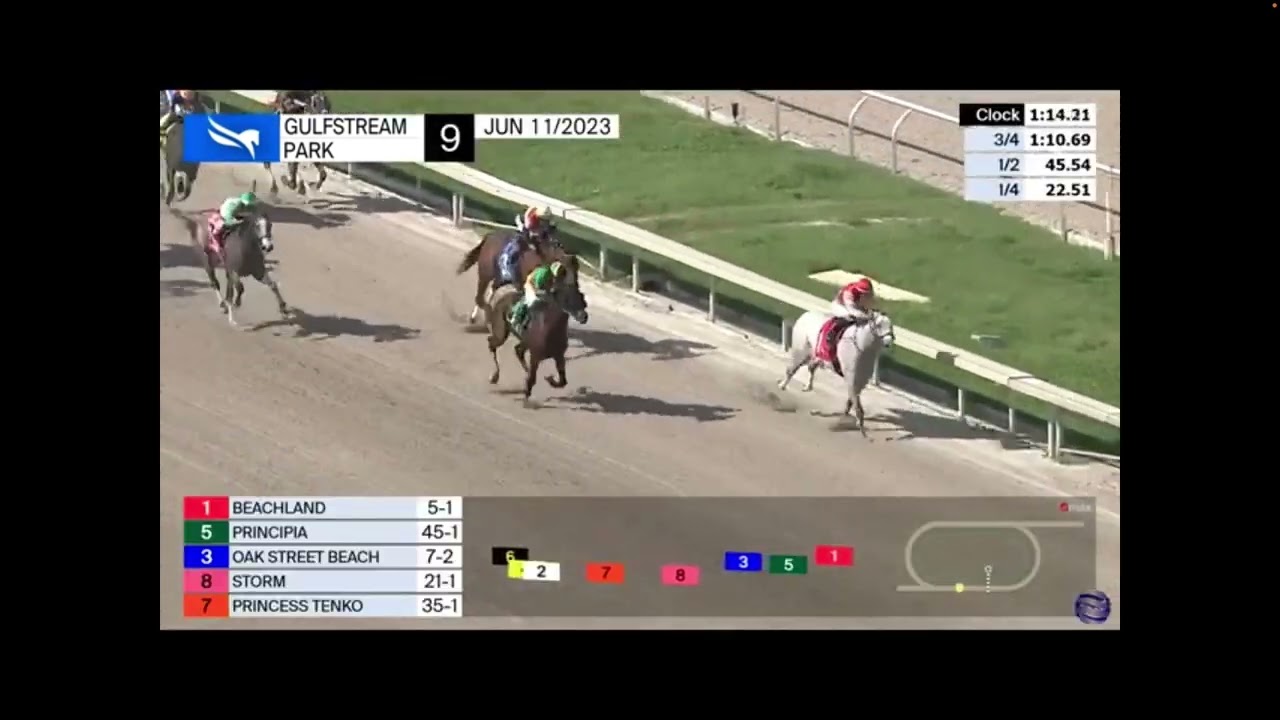 horse racing long shot easy 48/1 winner and huge tri