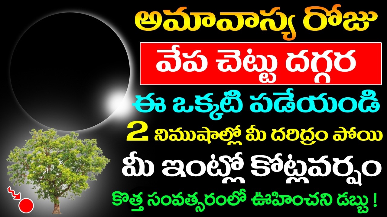 అమావాస్య రోజు వేప చెట్టు దగ్గర ఈ ఒక్కటి పడేయండి 2 నిముషాల్లో దరిద్రం పోయి కోట్లవర్షం #amavasya