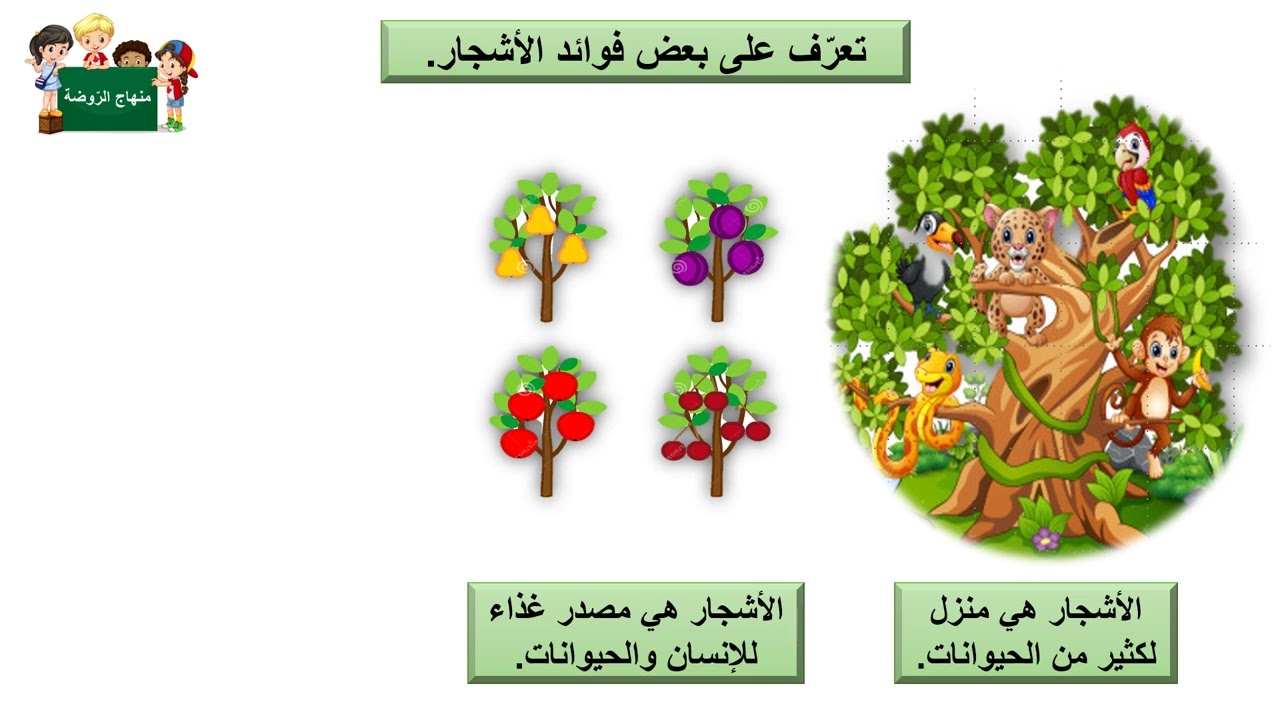 فوائد الأشجار