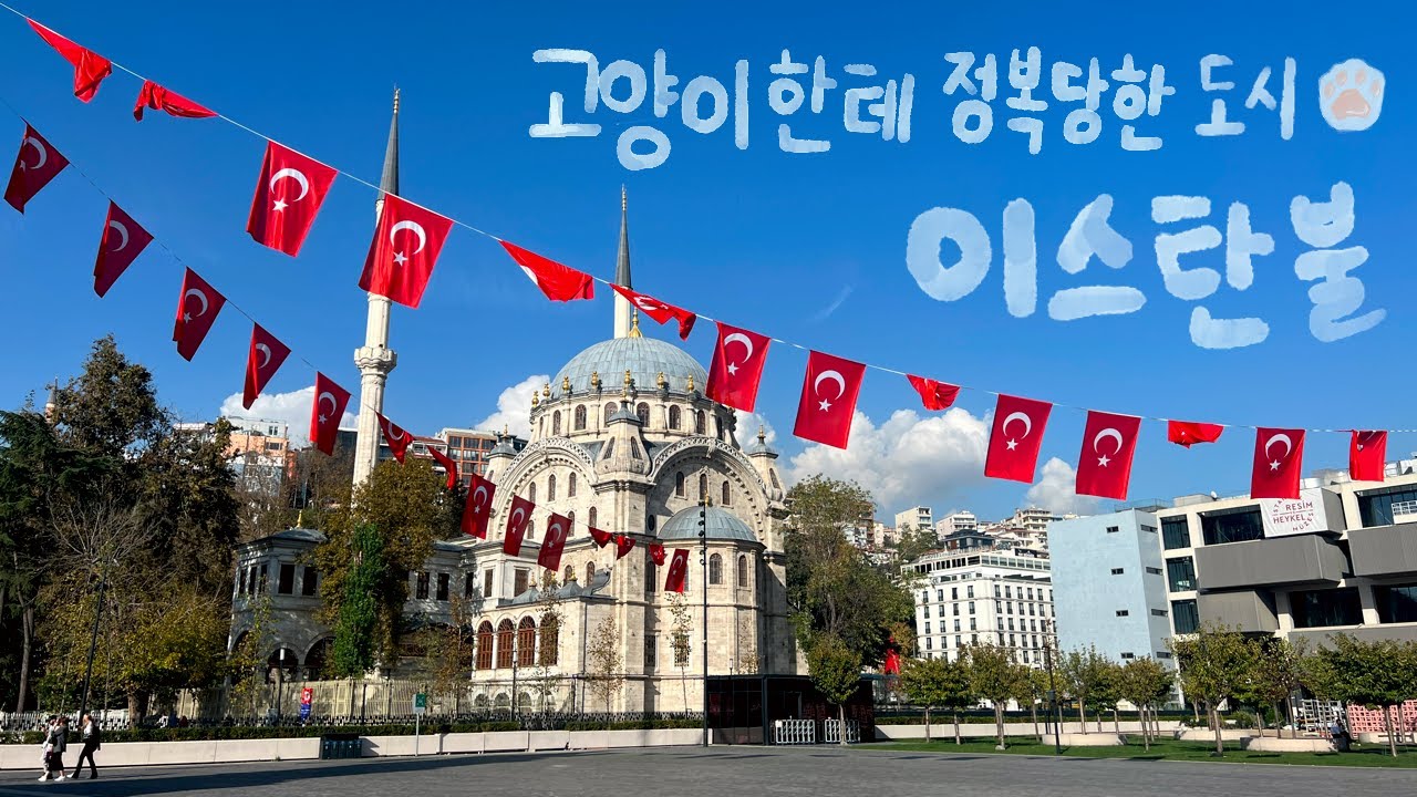 🇹🇷Ep38.이곳은 중동인가 유럽인가 하이브리드 매력을 가진 고양이의 나라 [이스탄불]
