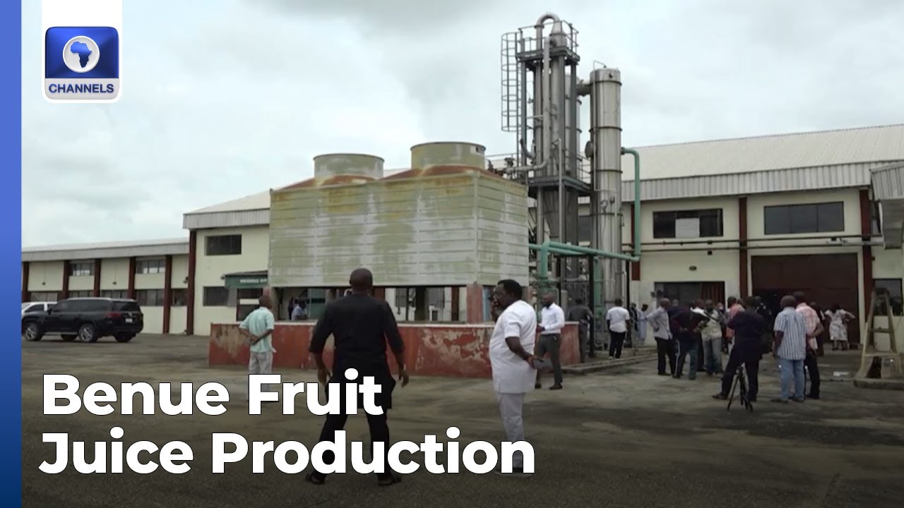 North Central: Benue Fruit Juice Production, Aftermath Of Babanla Attack + More | Newsroom Series