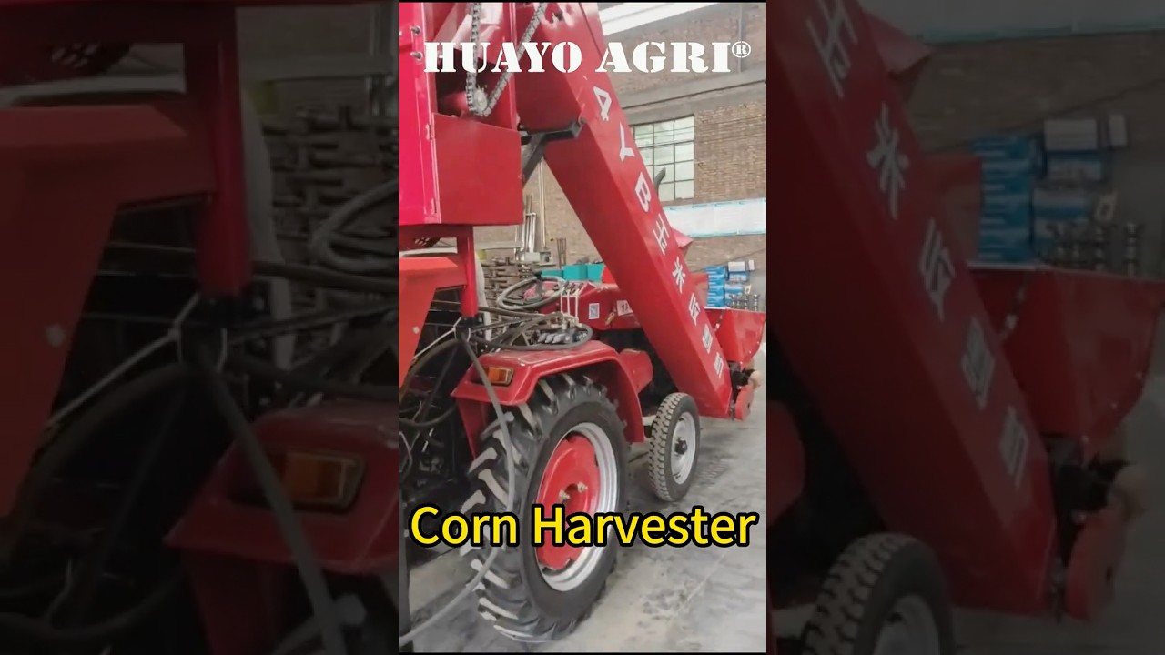 Combined Two Row Corn Corn Harvester with unloader Ready for Ghana