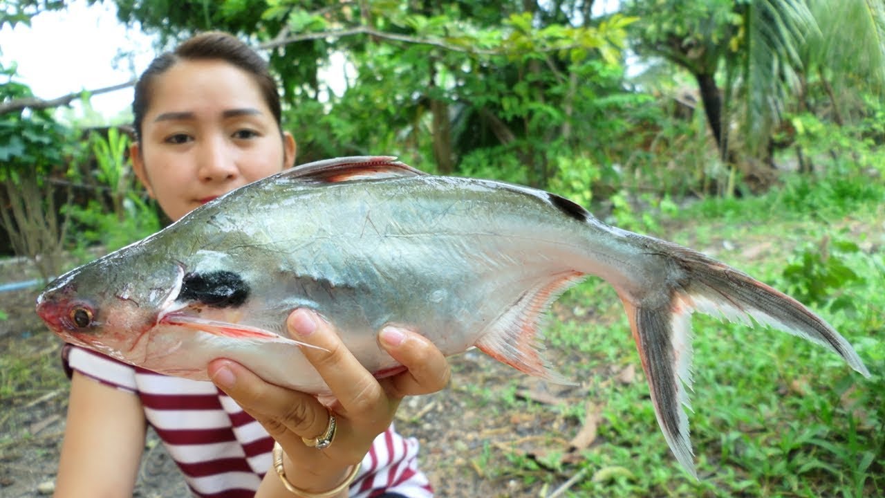 Yummy Fish Pounding Grocery Sour Soup - Fish Sour Soup - Yummy Cooking