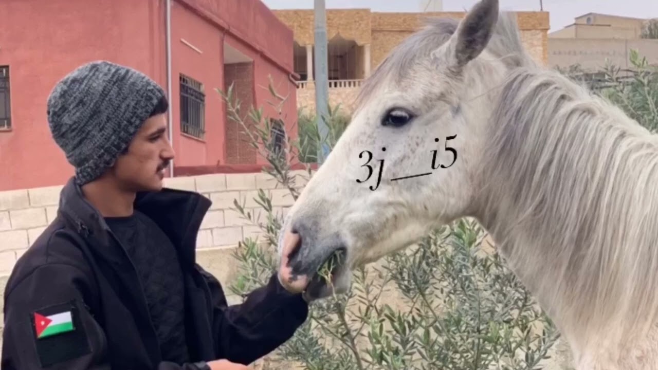 يذوب القلب من ملقا🐎🔥