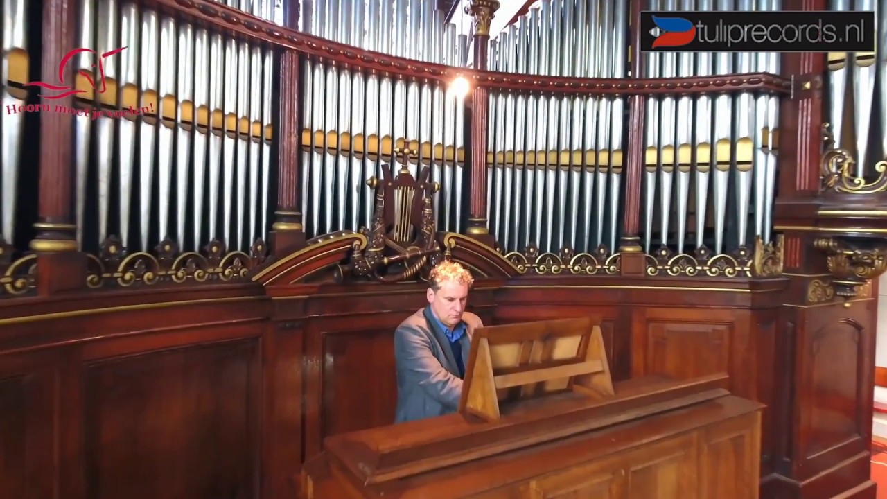 Hoornse Orgels in vogelvlucht 1 - Concert onder de Koepel | Mark Heerink