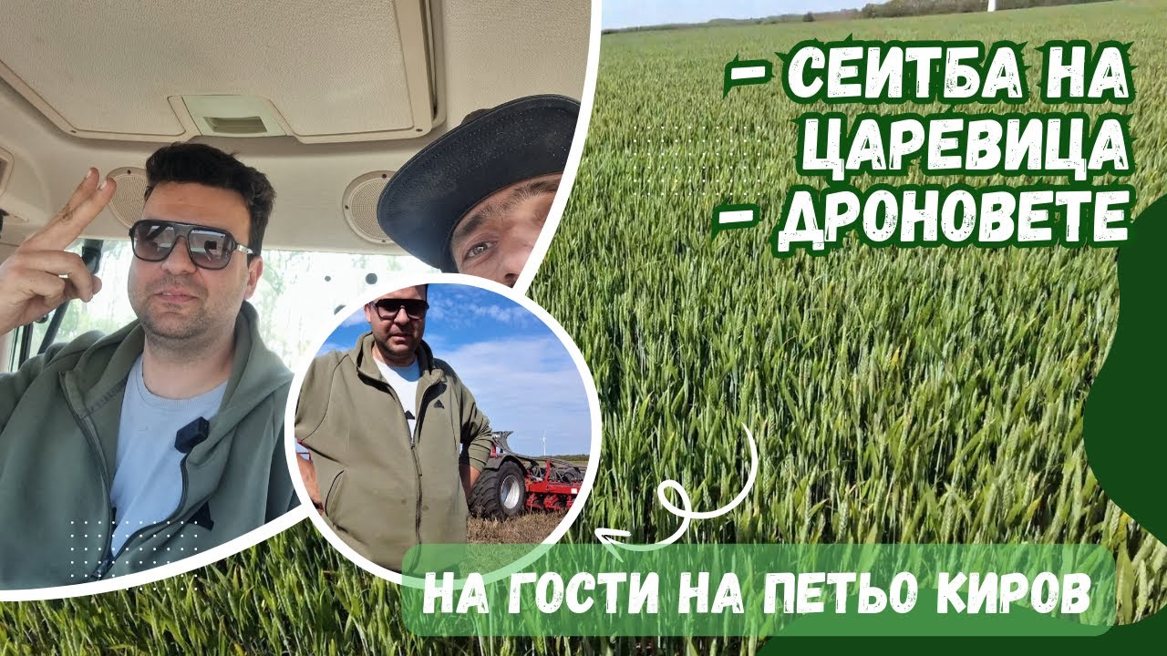 Ценни съвети при сеитба на царевица - No Till с Петьо Киров
