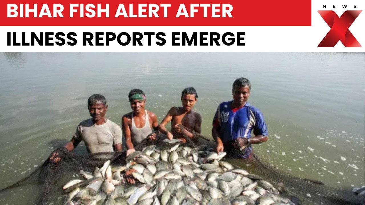 Bihar Fish Alert! Govt Warns Against Unknown Fish From Nepal Floodwaters