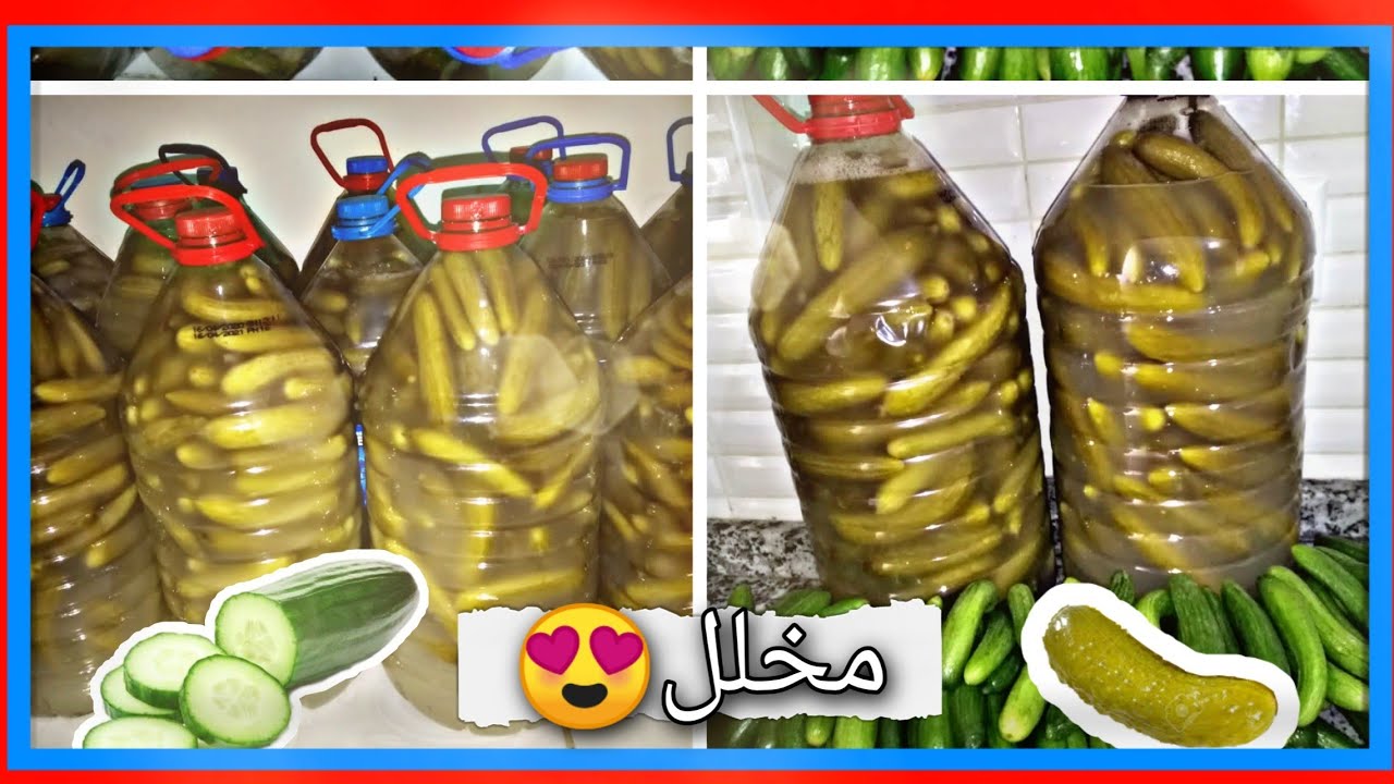 تخزين خيار المخللات🥒بجميع انواعه ومده موسم كامل من غير تلف🙈 والنتيجه ممتازه✅