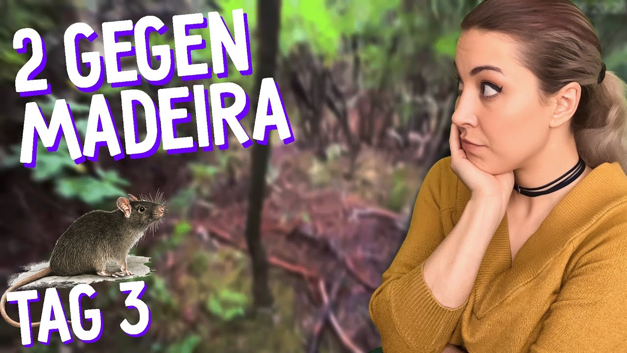 Röhre der Lust - 2 vs MADEIRA, survival im DSCHUNGEL Tag 3 mit @RonnyBerger