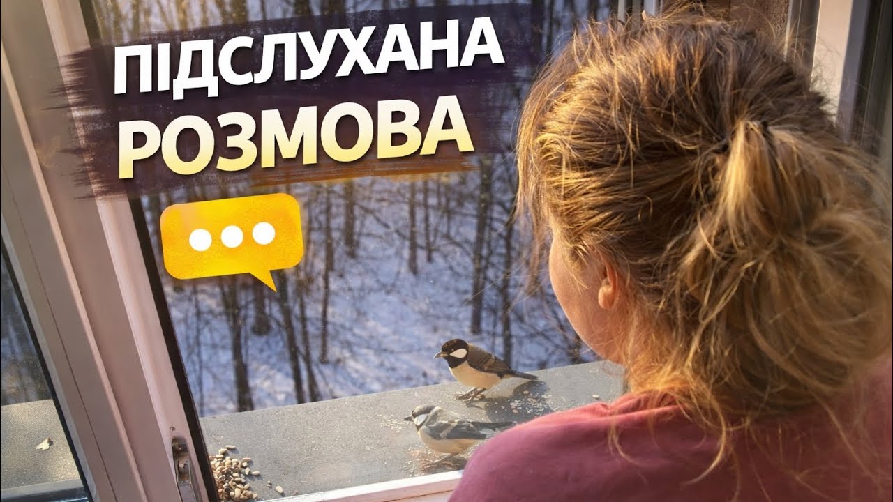 Годую птахів на підвіконні… А ви послухайте, про що ми говоримо 😅