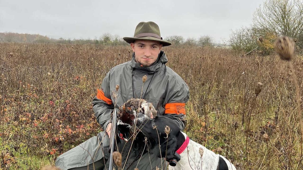 Chasse au Pointer Anglais de 9 a 11 Mois !!