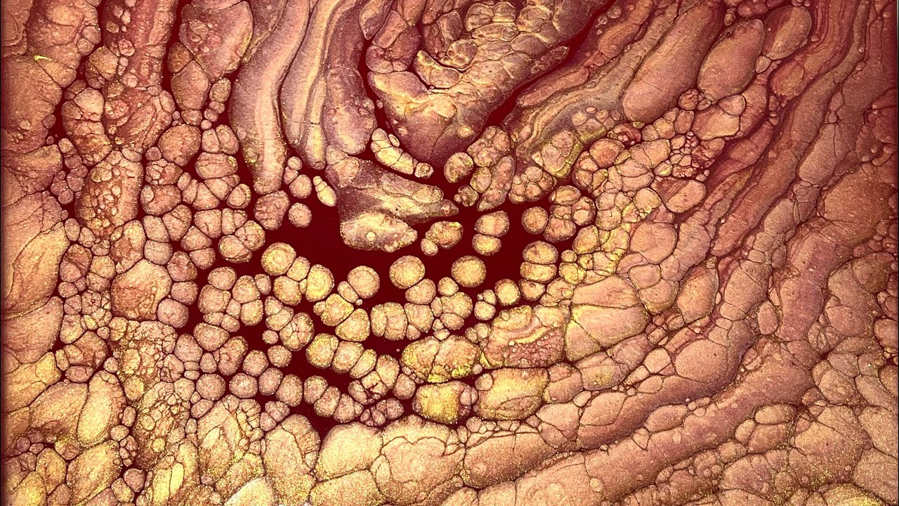 (367) SPARKLING CELLS GALORE Straight Pour - Cells No Silicone - Fluid Acrylic Paint Pouring