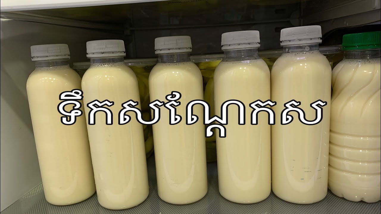 របៀបធ្វើទឹកសណ្តែកពណ៌ស How to make soy milk
