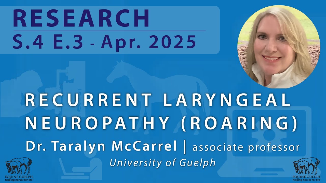 S.4 E.3 - April 2025 - Recurrent Laryngeal Neuropathy (roaring) - Dr. Taralyn McCarrel