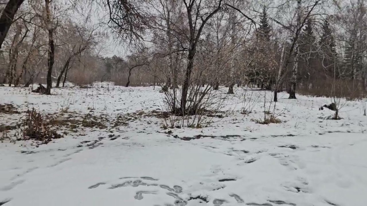 Стоит ли покупать электровелосипед, если бюджет 50000р.