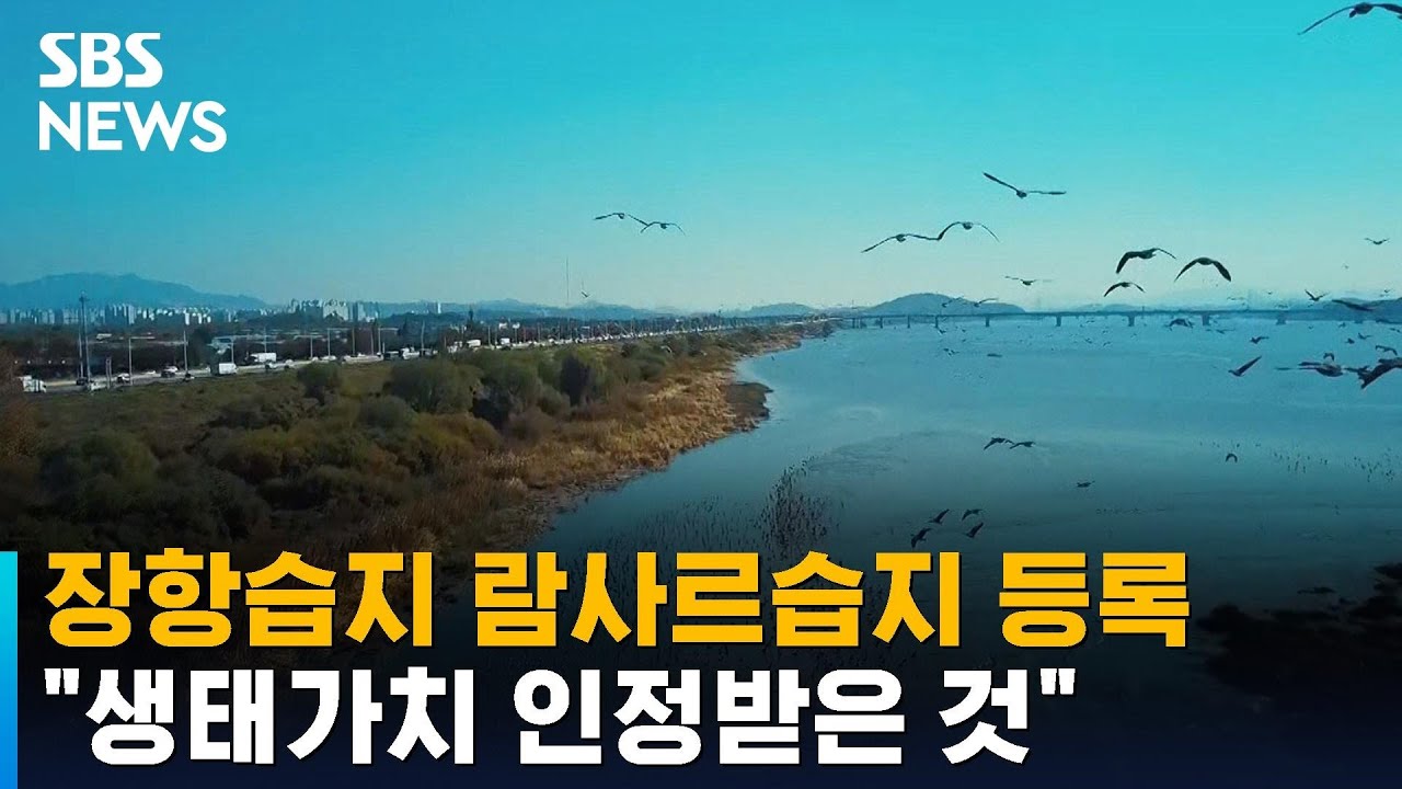 장항습지 람사르습지 등록&hellip;