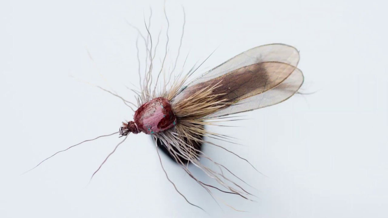 Tying the Stonefly