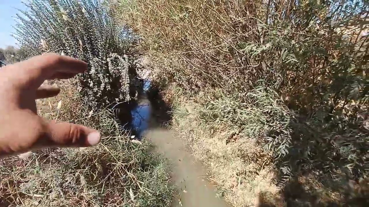 XONQA TUMANIDA TURAR JOY ZUDLIK BILAN SOTILADI