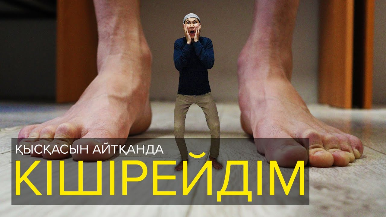 Қысқасын айтқанда, Мен кішірейдім