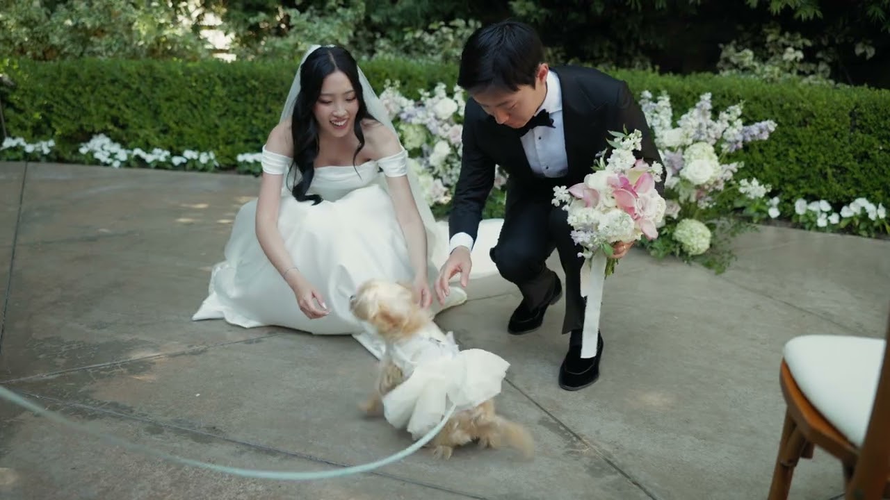 S + C Wedding Highlight