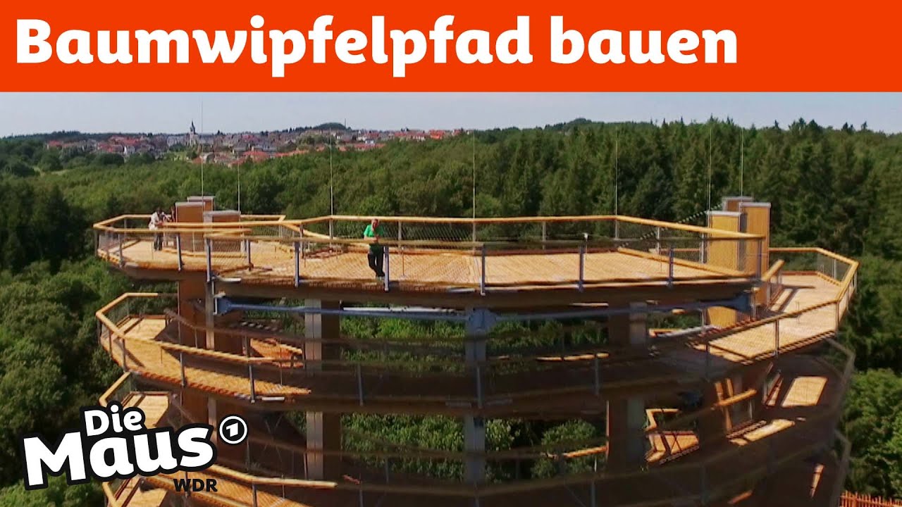 Spazieren zwischen Baumkronen  - So wird ein Baumwipfelpfad gebaut | DieMaus | WDR