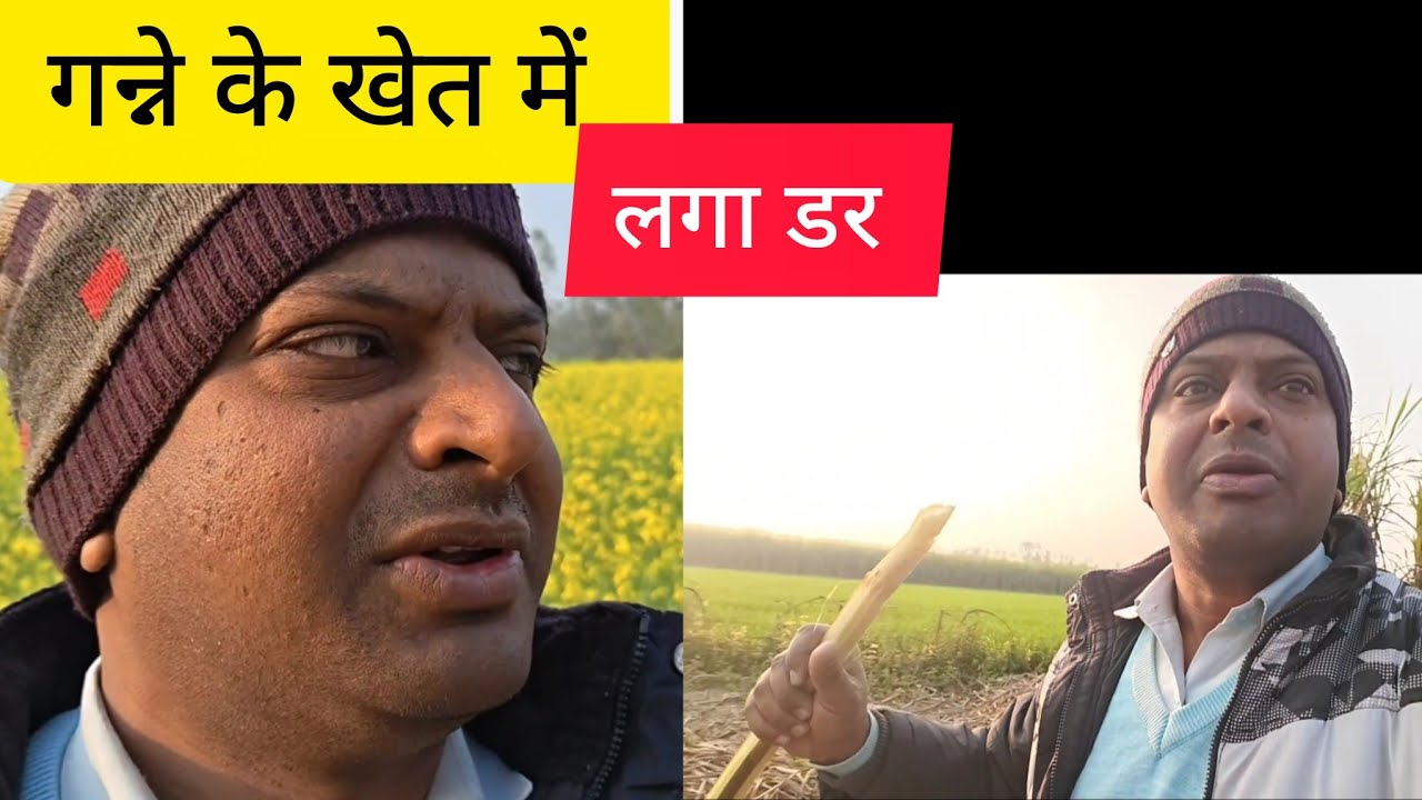 खेत में लगा डर || गन्ना बोलता है || sakshi jyoti babu 