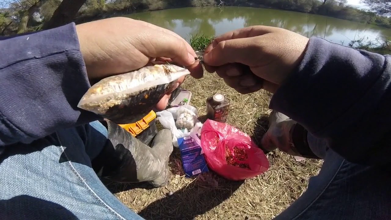 PVA Yemleme Poşeti ile Sazan Avı ( pva carp rig )