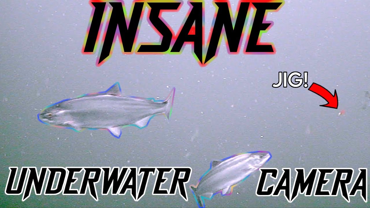 INSANE UNDERWATER CAMERA FISHING for Kokanee SALMON!