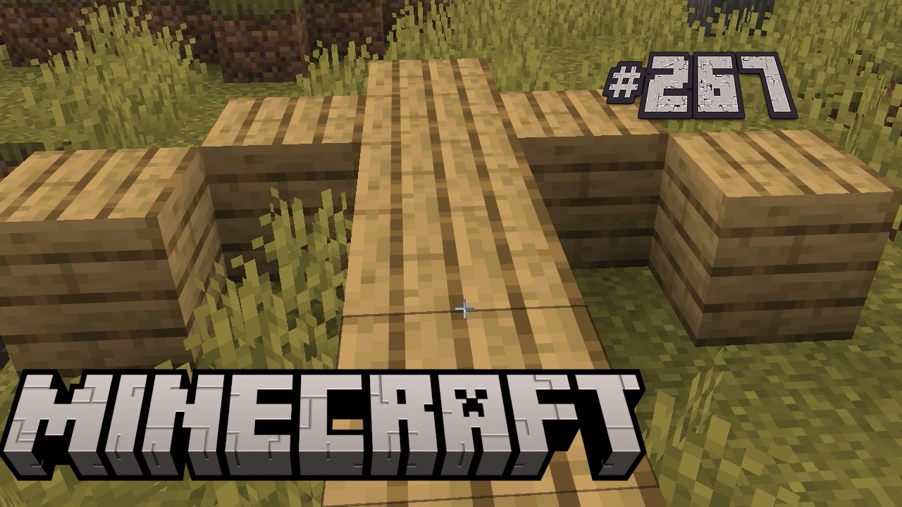 #267  😅Wiederum und Abermals Diorite besorgen😅 🌳Minecraft🌳