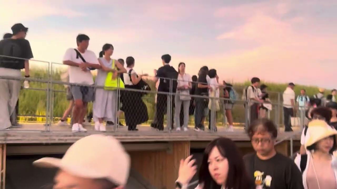 悲鳴！万博2025 虫の大群