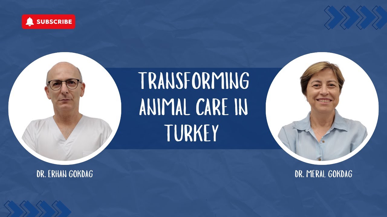 The Vets Transforming Animal Care in #Turkey