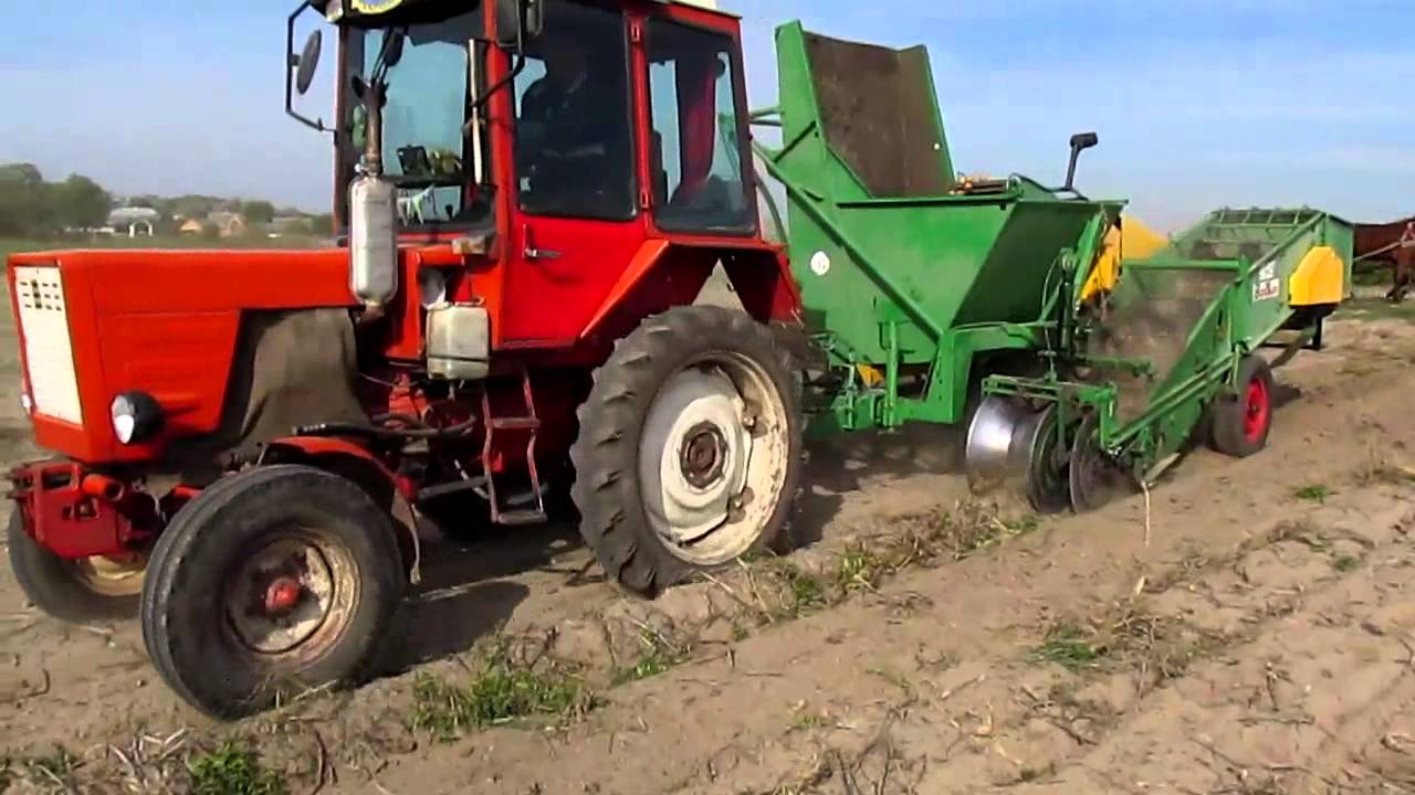 Т-25 Люкс vs Bolko