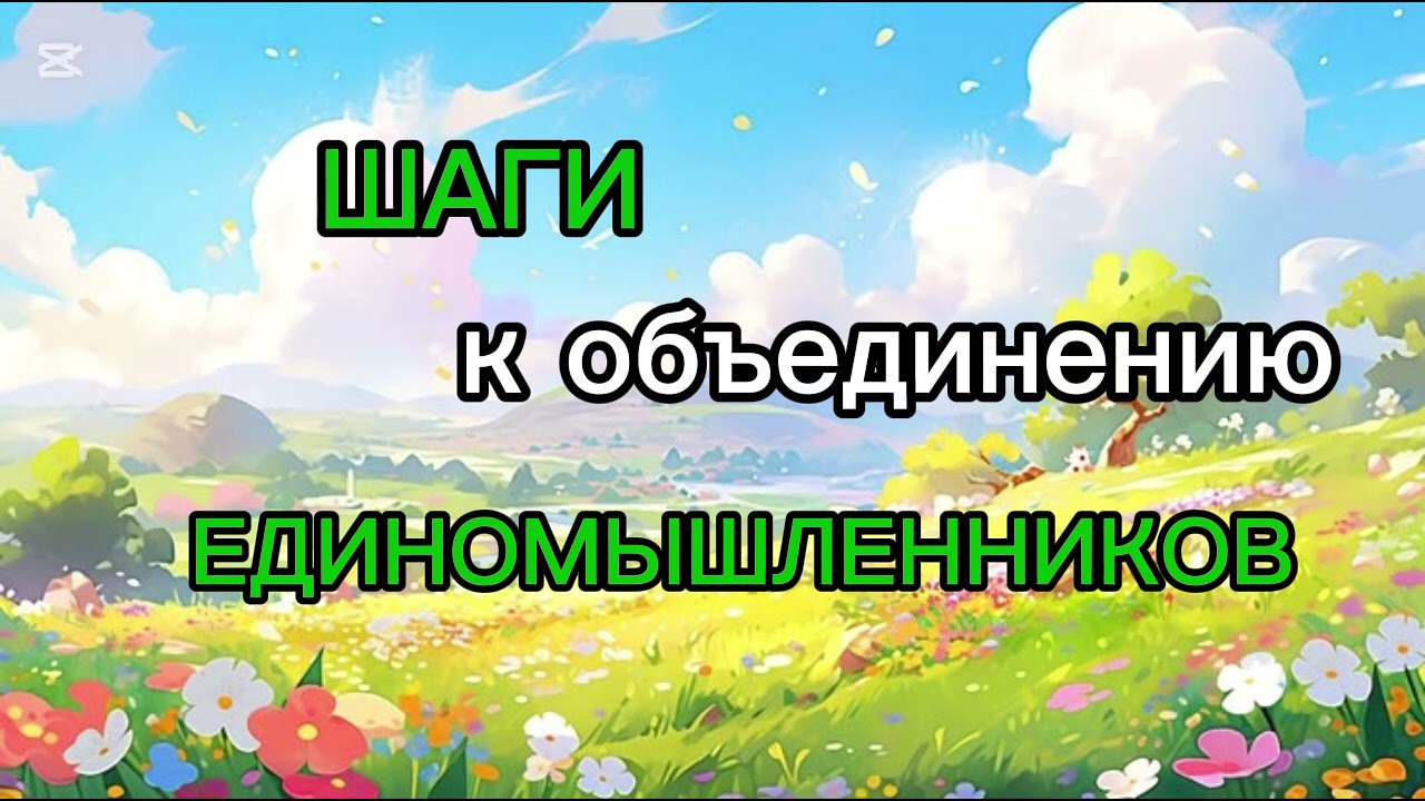 ШАГИ К ОБЪЕДИНЕНИЮ.