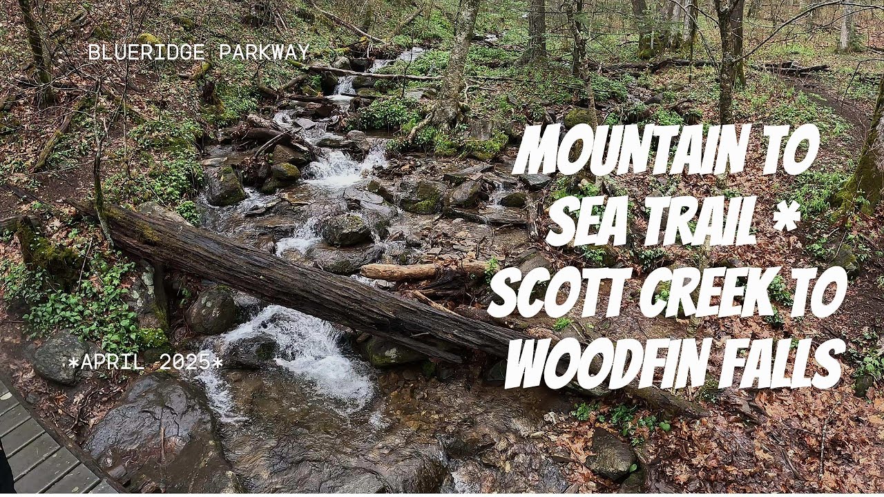 Scott Creek Overlook to Woodfin Falls: Mountain to Sea Trail