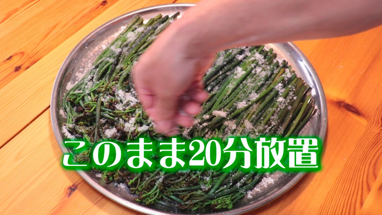 わらび🌿アク抜きから塩漬けして冷蔵保存方法😊Salted wild vegetable recipe