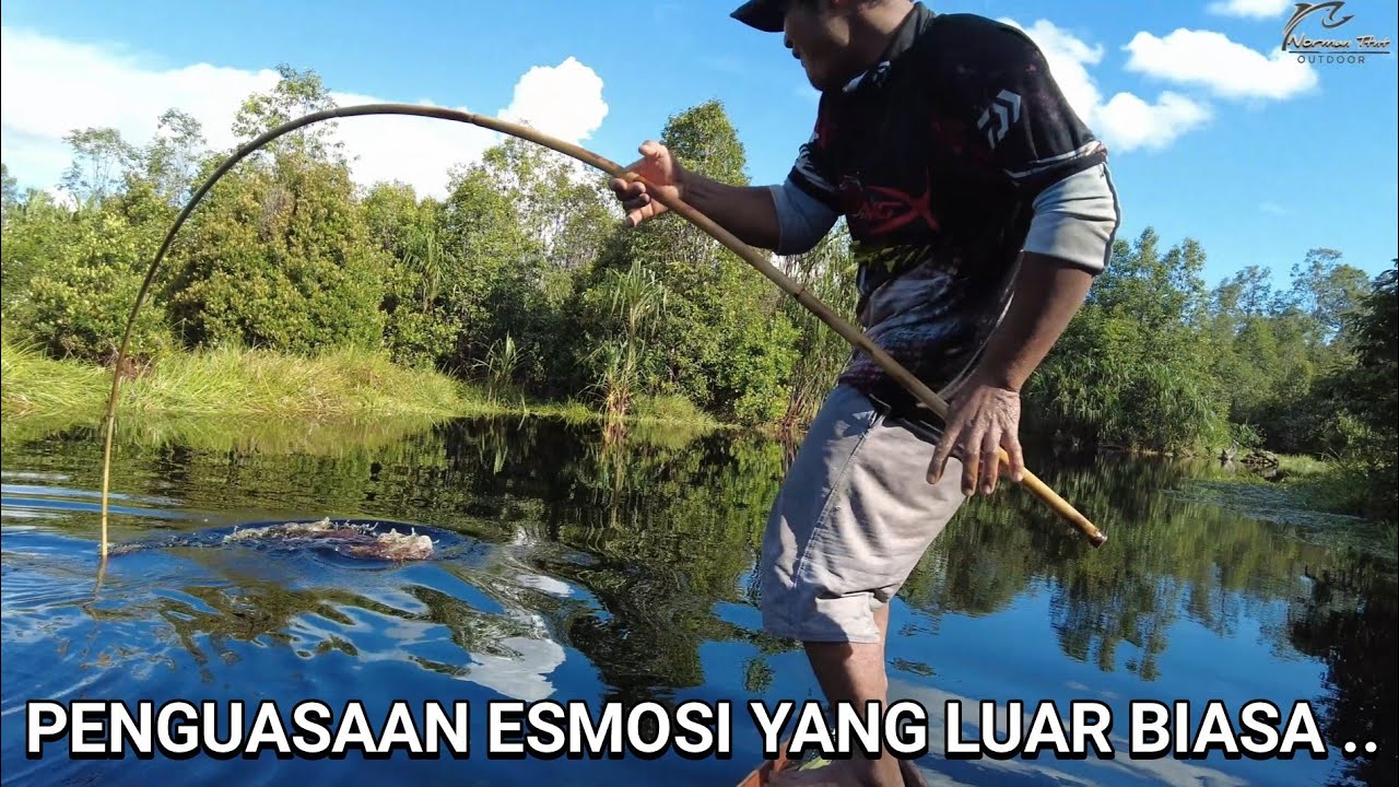 MANG DIMAN LULUS PSIKO TES MANCING .. 😂😂 ..