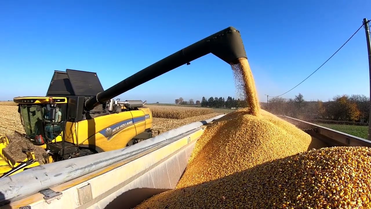 KUKURYDZA NA ZIARNO 2022 AGRO-KARLIK/HAND-ROL MAŁOPOLSKA 4K