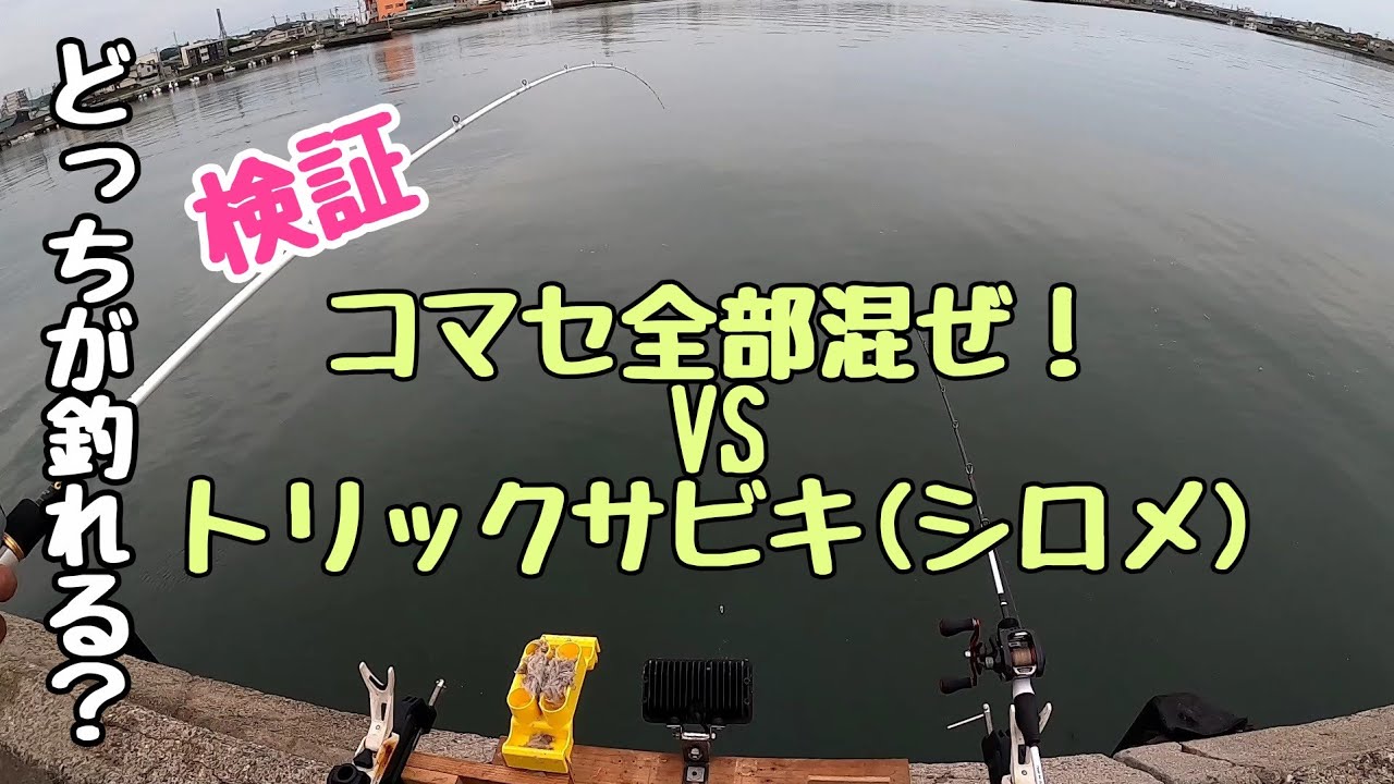 このサビキには勝てません。コマセ全部混ぜてみた！南知多釣り。知多半島釣り。愛知釣り。アジ。サバ。イワシ