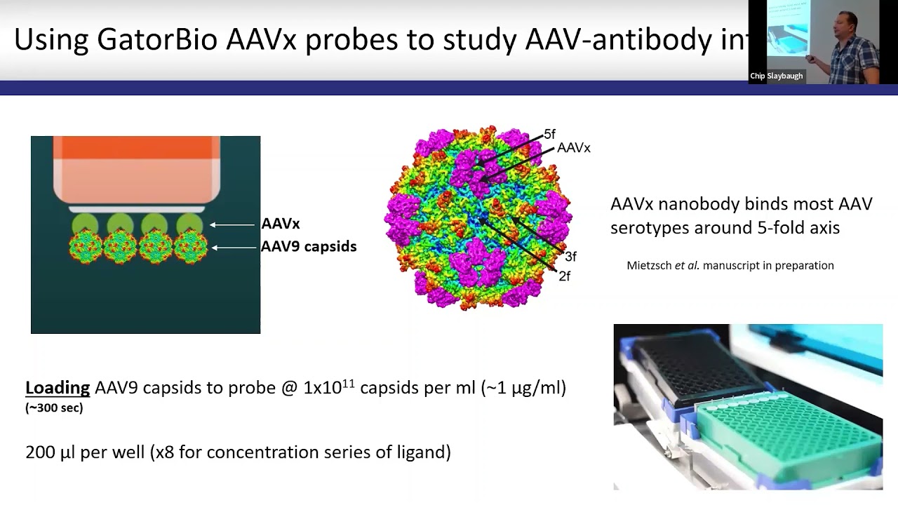 Webinar - Evaluation of Bio Layer Interferometry (BLI) for AAV kinetics measurements