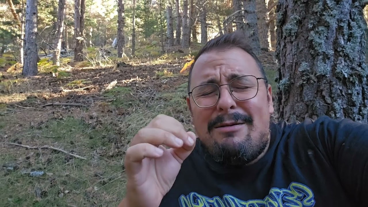 Ves a gente con Boletus pero tu no ves ninguno? Eclosión primaria en sustrato profundo. Capitulo#1