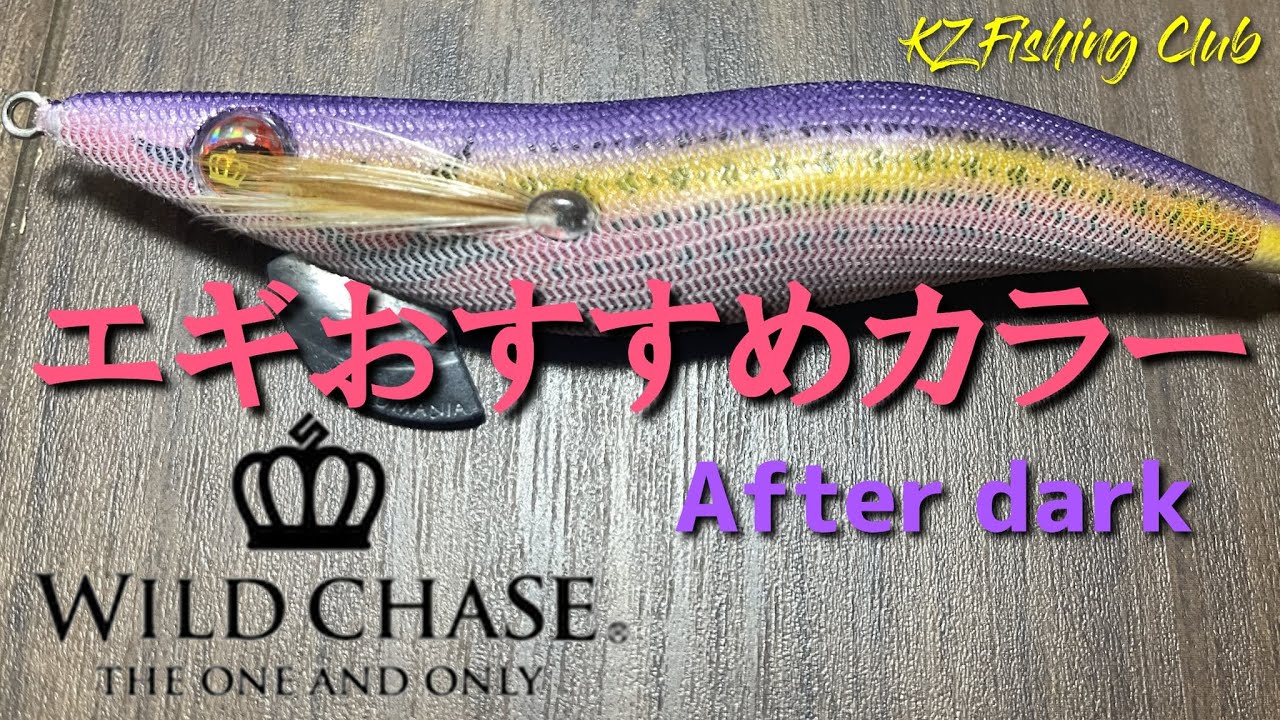【エギング】エギング大会で絶好調だった神エギを紹介 #スクイッドマニア #ワイルドチェイス#秋イカ