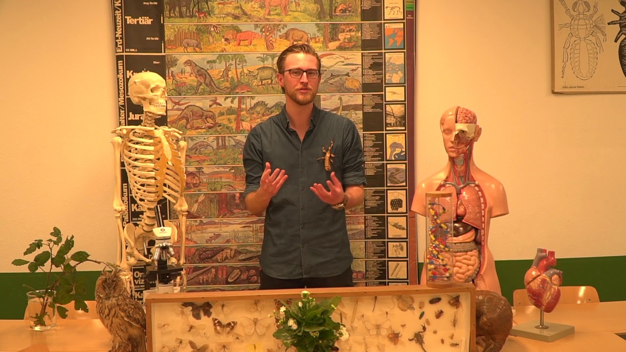 Biologie op het Stedelijk