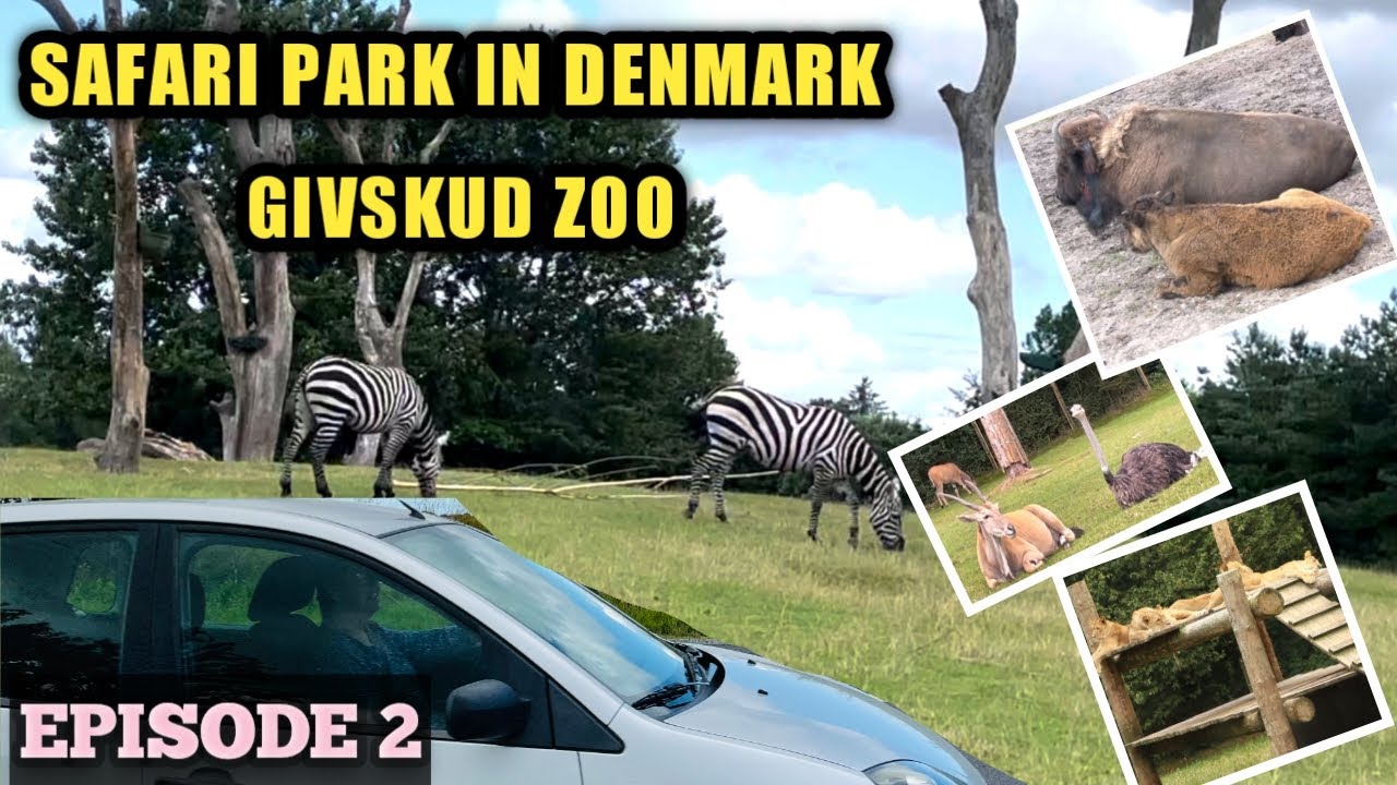 Safari Park | Givskud Zoo | Denmark | Exciting Experience | Must visit places in Denmark | EP 2