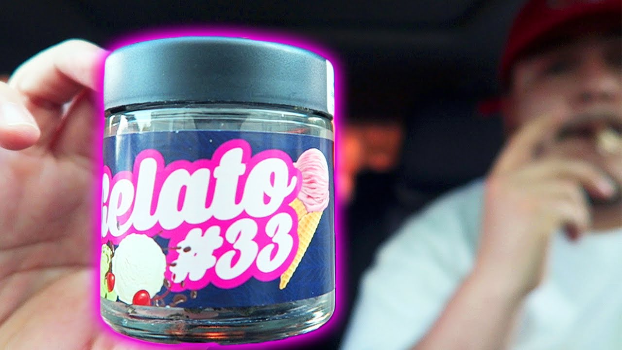 GELATO 33 EXOTIC SESH!!!