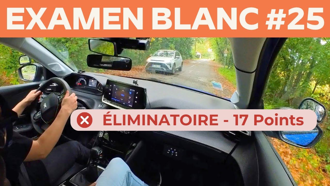 17/31au Permis de Conduire - ÇA DONNE QUOI