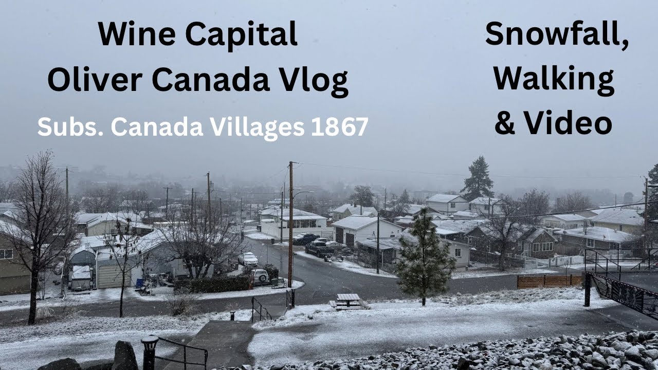 Snowfall, walking, Video. Wine capital Oliver Canada 