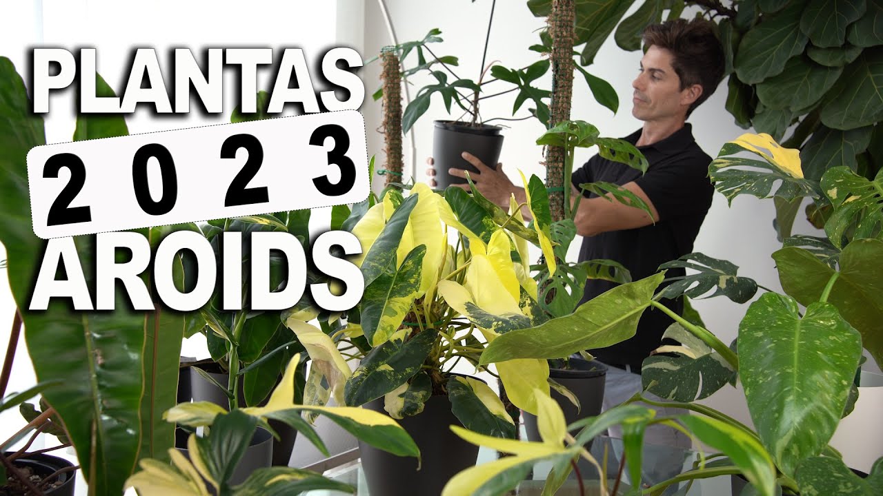 PLANTAS de COLECCIÓN en 2023