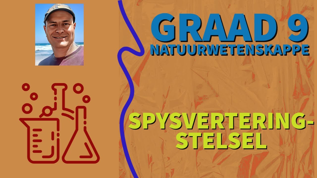 Graad 9 NW  SPYSVERTERINGSTELSEL (Stelsels in die Menslike Liggaam)